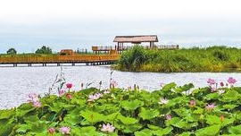 亮劍治污 夯實新區(qū)藍綠本底——加快恢復白洋淀“華北之腎”功能（一）